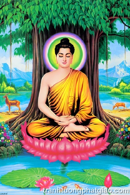 Bổn Sư Thích Ca Mâu Ni Phật (338)